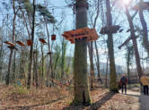 Kletterwald  "Parcours"