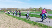 Die Radtruppe unterwegs auf dem Radweg von Trebur Richtung Geinsheim