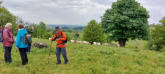 Auf dem Weg zum Weinfelder Maar vorbei an einer Ziegenherde
