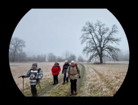 Themen-Wanderung: Kühkopf