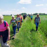 Den Rückweg auf Wiesenwegen treten alle gemeinsam an